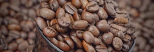 Professionele onderhoudsproducten en reinigingssets voor het schoonmaken van volautomatische koffiemachines mkb coffee